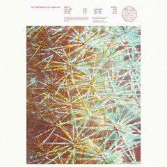 PREMIERE #1095 | The First Minute of a New Day feat Laraaji - July 14th [Séance Centre] 2020