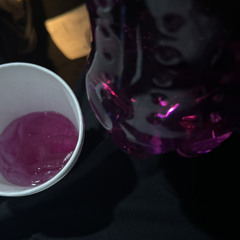 Young Slo-Be - Certified