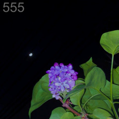 This Smell of Lilac - Lin Ansty - Свой Знак cover / remix