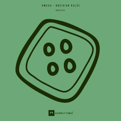 PWCCA Obsidian pulse [Newrhythmic Recs]