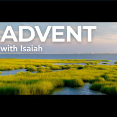 Sermon 2025-12-14 Fr Caleb Trinity Parish St Augustine FL