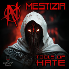 Mestizia - The Tools of Hate (Original Mix)