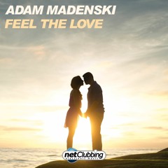 Feel The Love (Instrumental Mix)