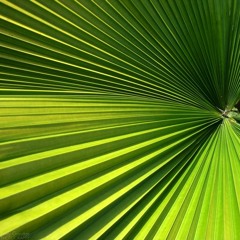 modular sketchbook 9-4-20