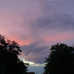 Kiss Me - Nellijosy Acoustic Cover