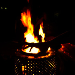 burning down the house