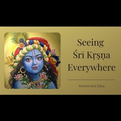 Seeing Śrī Kṛṣṇa Everywhere | ISKCON Silicon Valley | Amarendra Dāsa