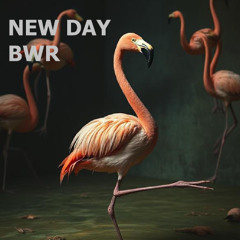 NEW DAY