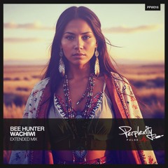Bee Hunter - Wachiwi (Extended Mix)