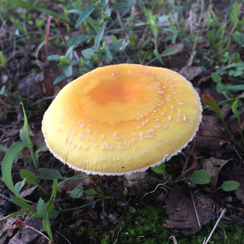 Stream By ゆplateformゆ Saxa On Youtube Maretu Pink ぴんくenglish Cover 英語で歌ってみた Saxa By Kiirakyurei Listen Online For Free On Soundcloud Stream By ゆplateformゆ Saxa On Youtube Maretu Pink ぴんくenglish Cover 英語で歌ってみた Saxa By Kiirakyurei Listen Online For Free On Soundcloud