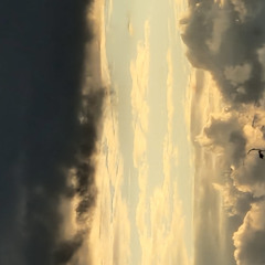 56yue_b4