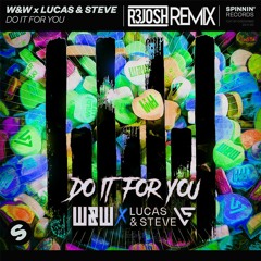 W&W X Lucas & Steve - Do It For You (R3josh Remix) (Radio Edit)