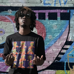 FUCK ALL YALL FREESTYLE