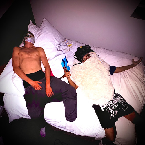 BED BUGS