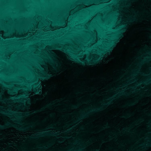 All of Us (prod. kashcloud x jtrn)