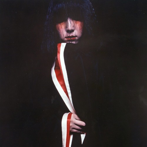 Danny Steel