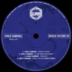Premiere : Carlo Gambino - Bigger Picture (CHKLTE Remix) (DWAAL008)