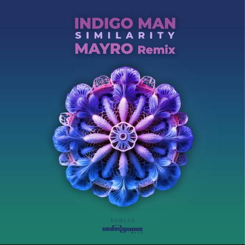 Premiere: Indigo Man - Similarity (Mayro Remix) [Undergroove Music]