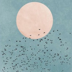 chim vui bay cao hơn