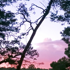 Wistful ˙◠˙ (Korg Wavestation EX, Recorded on Tape in 1998).