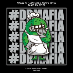 Rauw Alejandro x Angel Dior - Tamo En Nota (Cence Brothers Remix) [BUY=FREE DOWNLOAD]