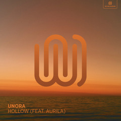 Hollow (feat. Aurila)
