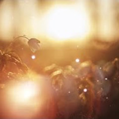 Self Worth & Self Esteem: Guided Healing Meditation
