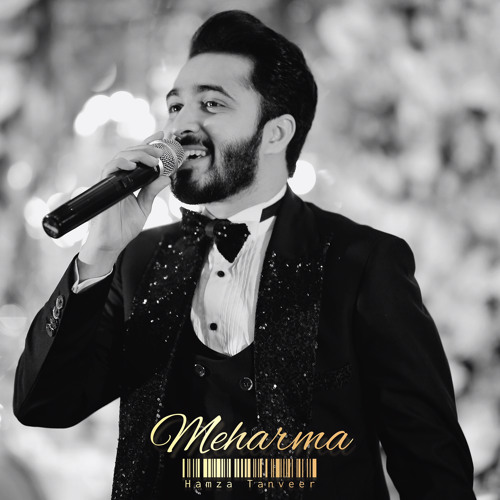Meharma - Hamza Tanveer (Official New Song)