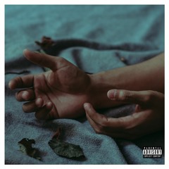 BLURRED VISION & NEW WINGS (feat. Sean Kennedy, Jolly8 & Katsu)