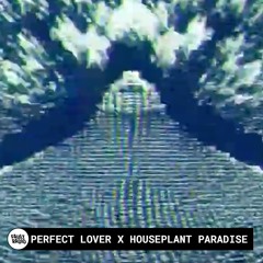 KTV: Perfect Lovers X Houseplant Paradise | Fault Radio AV Set in San Francisco (August 25, 2021)