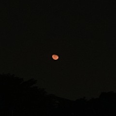 Andi’s small lair.