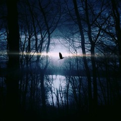 Distilling the Lullaby