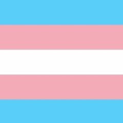 Happy Trans Day of Visibility!!!