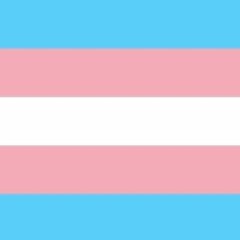 Happy Trans Day of Visibility!!!