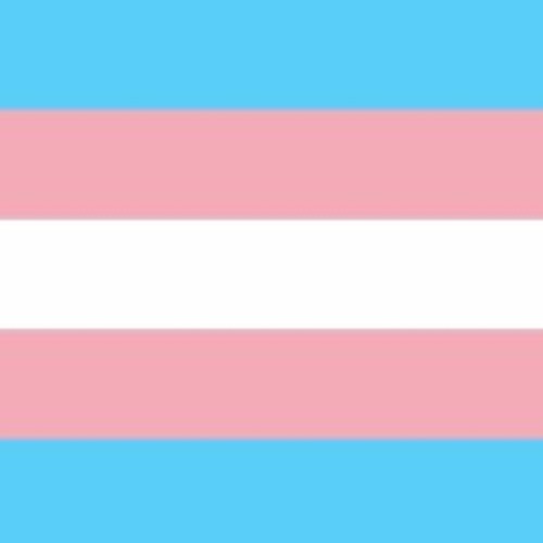 Happy Trans Day of Visibility!!!