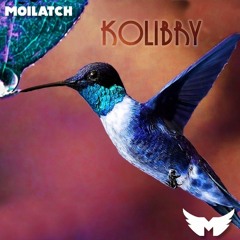 Moilatch - Kolibry