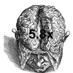 5.8x
