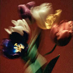 [FREE] Travis Scott x Don Toliver Type Beat 2025 – Melodic Dark Trap