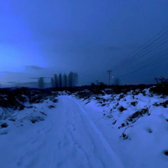 GIMP! w/DAZZIN SNOWZZ