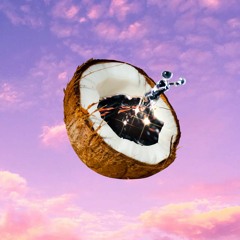 sunset on our favorite beach - CAT DAD & Susannah Joffe