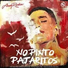 Andy Rivera - No Pinto Pajaritos (Mula Deejay Extended)