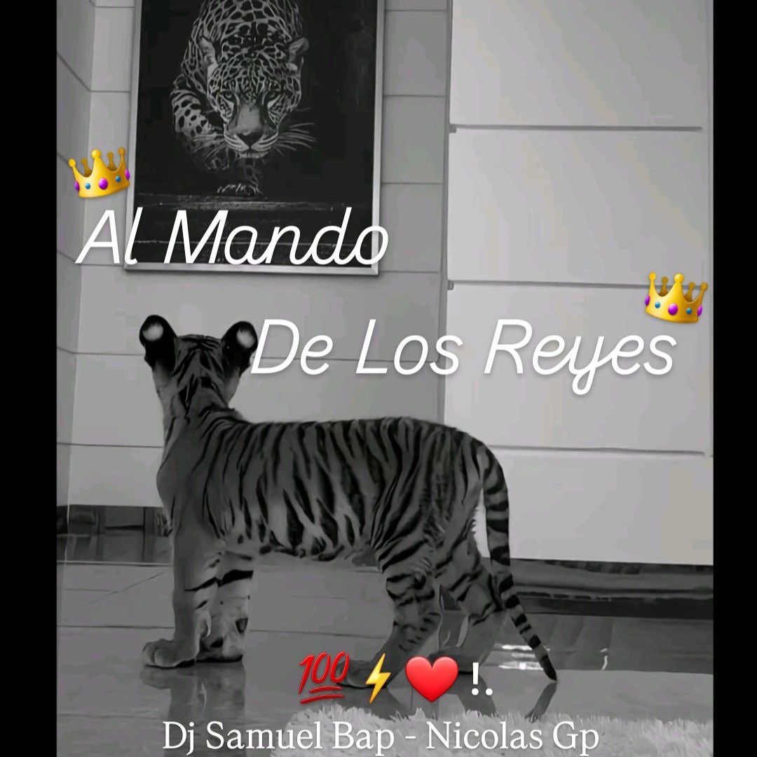 Mando Reyes Stream Al Mando De Los Reyes 👑💎!. (B2B) - Dj Samuel Bap - Nicolas Gp ...