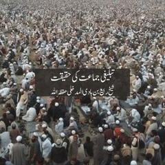 تبلیغی جماعت کی حقیقت - شیخ ربیع المدخلی