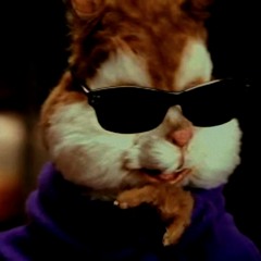 Chipmunk Flow (BB)