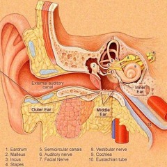 Acting Like You Already Know - 8:88:88, 8.88 AM
