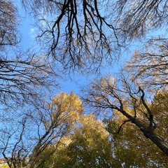 Dedication (prod.Markmywords)