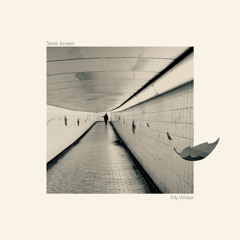 Steve Jansen - The Journey Back