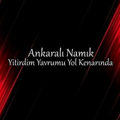 Yitirdim Yavrumu Yol Kenarında