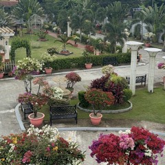 Back at one (iPad snippet cover)