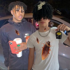 kankan-cockroach (unreleased)